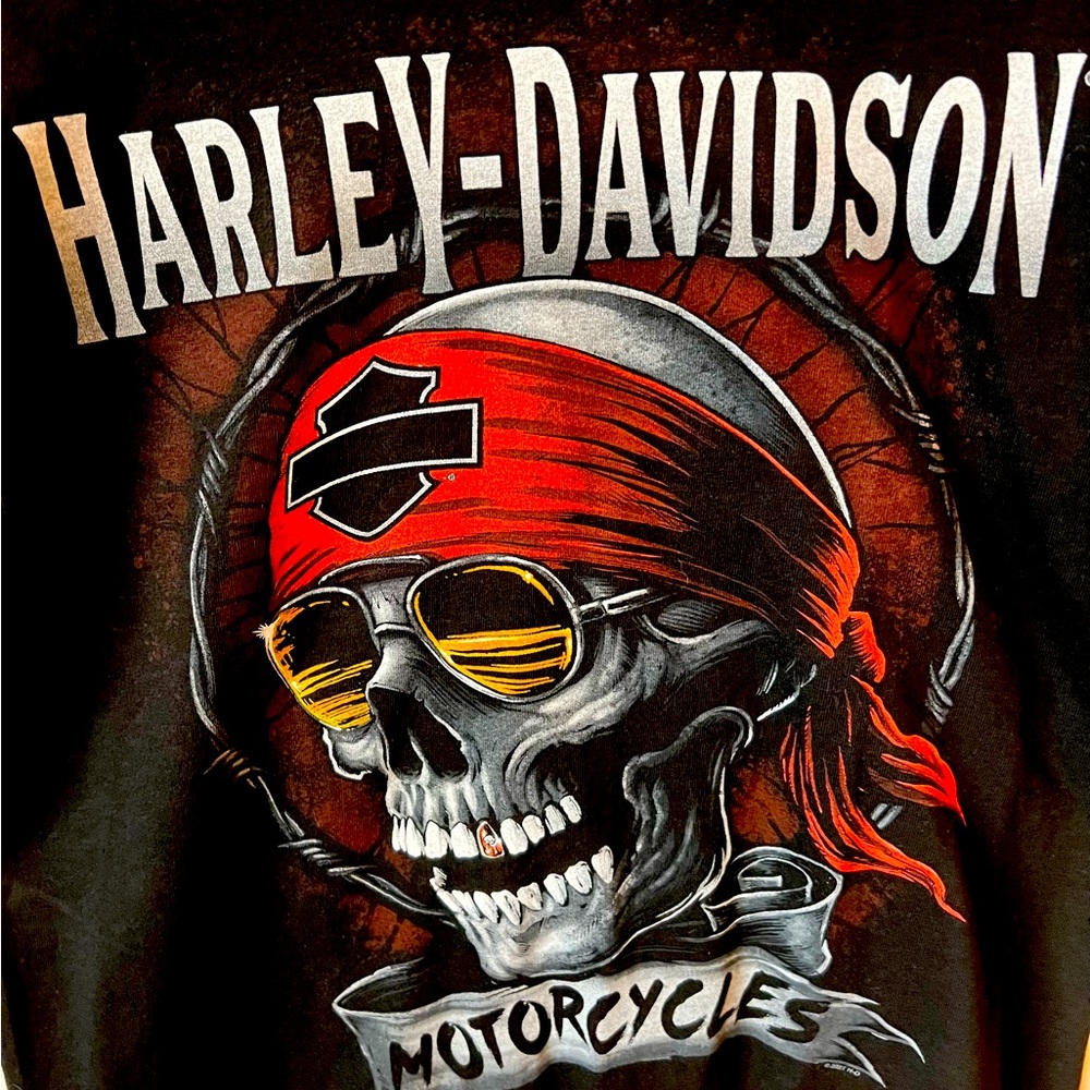 Harley Davidson t-shirt Men’s M